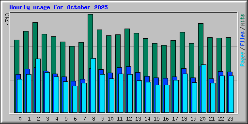Hourly usage for October 2025