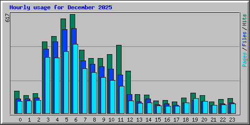 Hourly usage for December 2025
